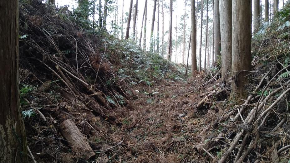 皆川城