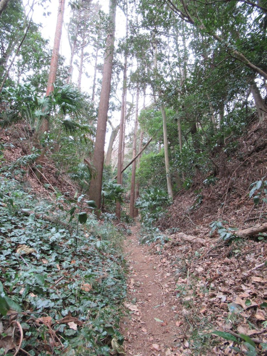 東林寺城