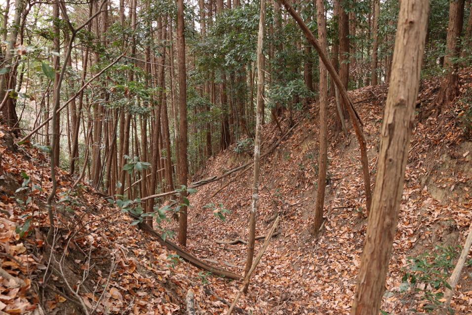 豊田城
