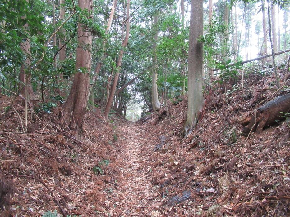馴馬城