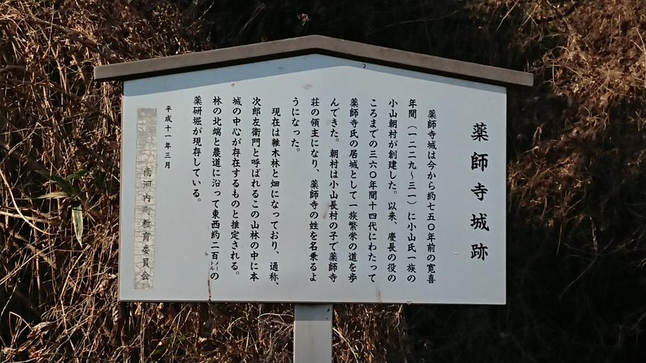 薬師寺城