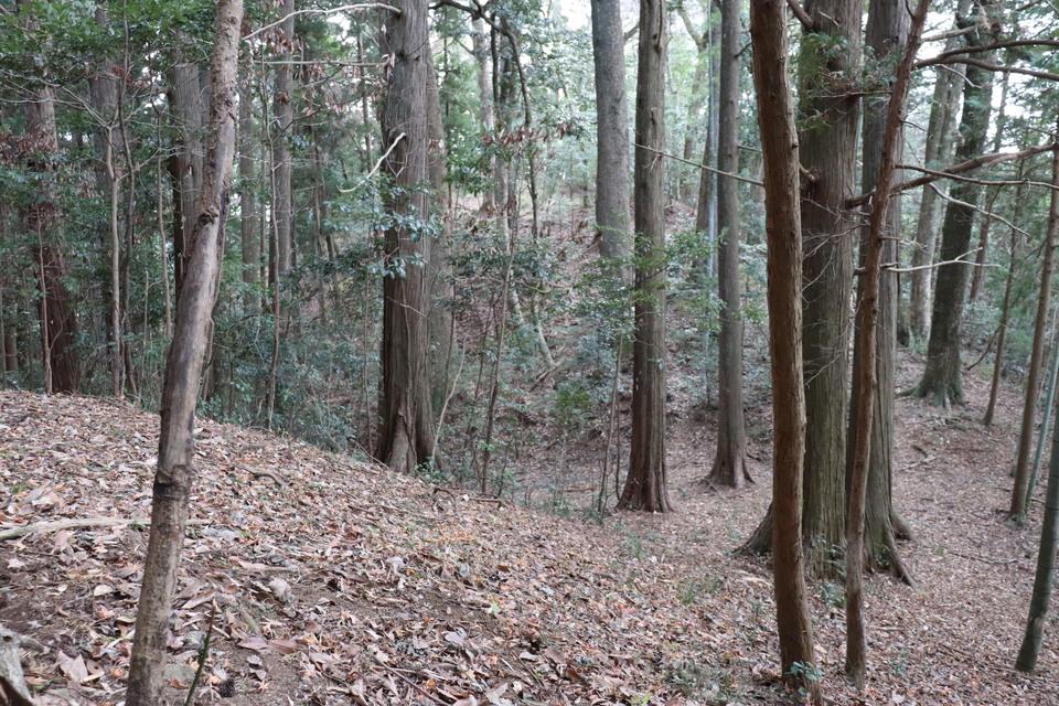 真篠城