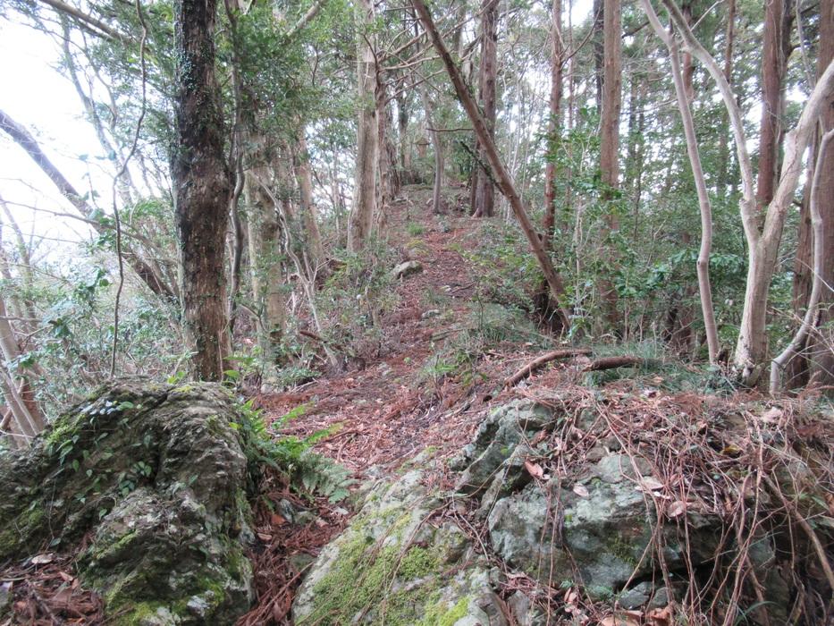 山之城