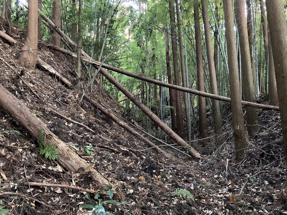 見川城