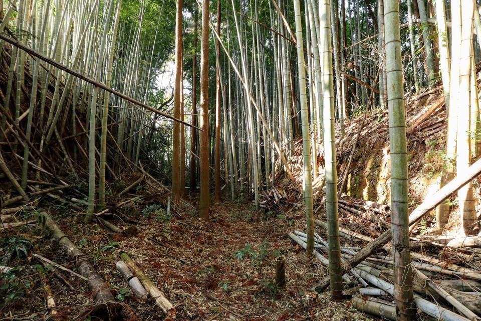 隈府城