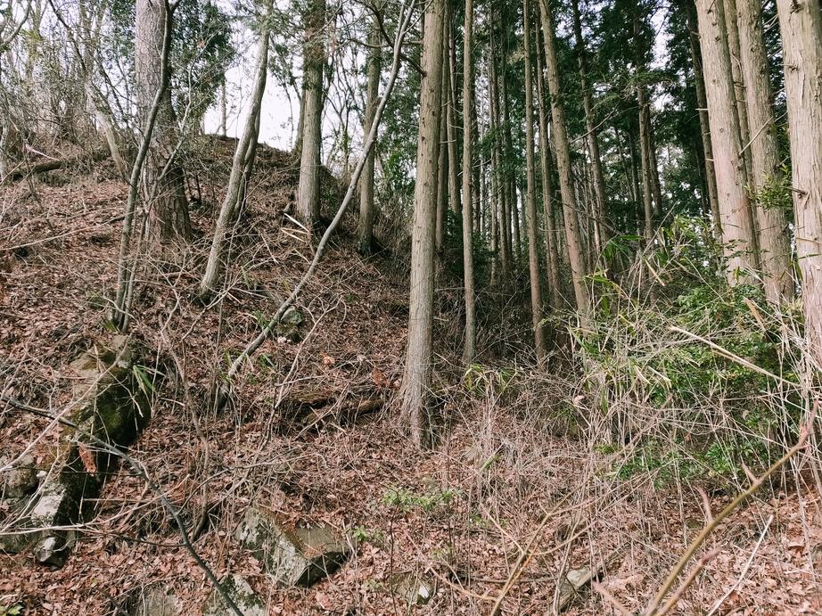 岩伽羅城