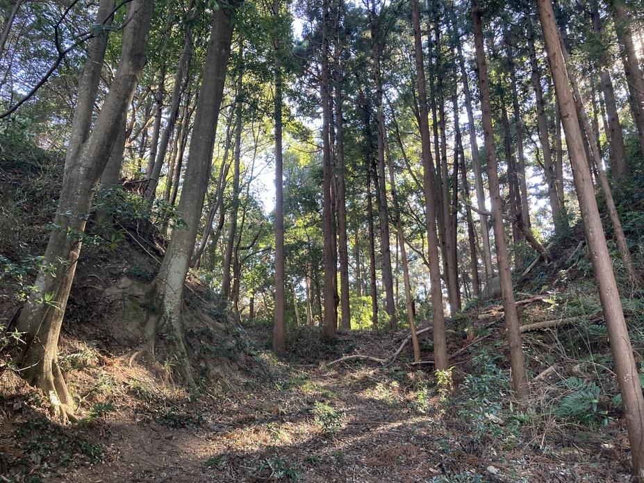 鷹留城