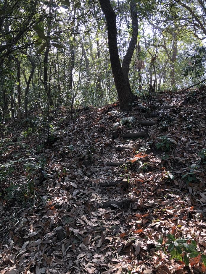 甲山城