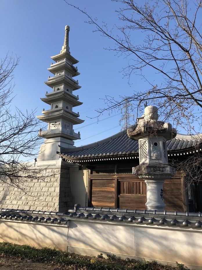 朝日山城