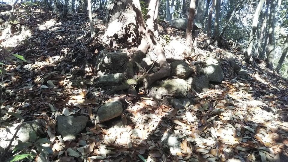 広見城