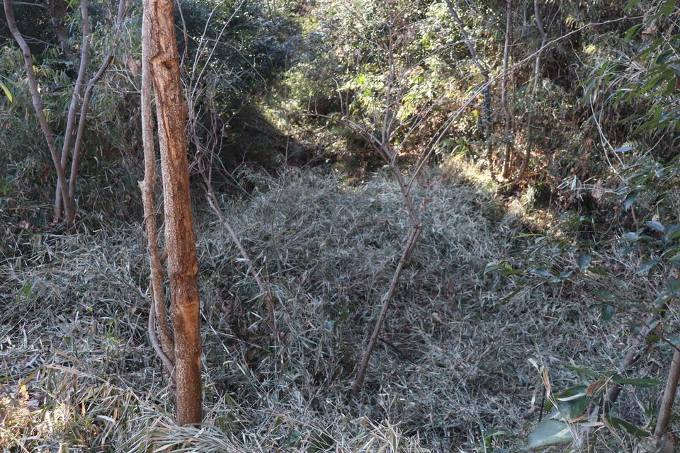 武蔵松山城