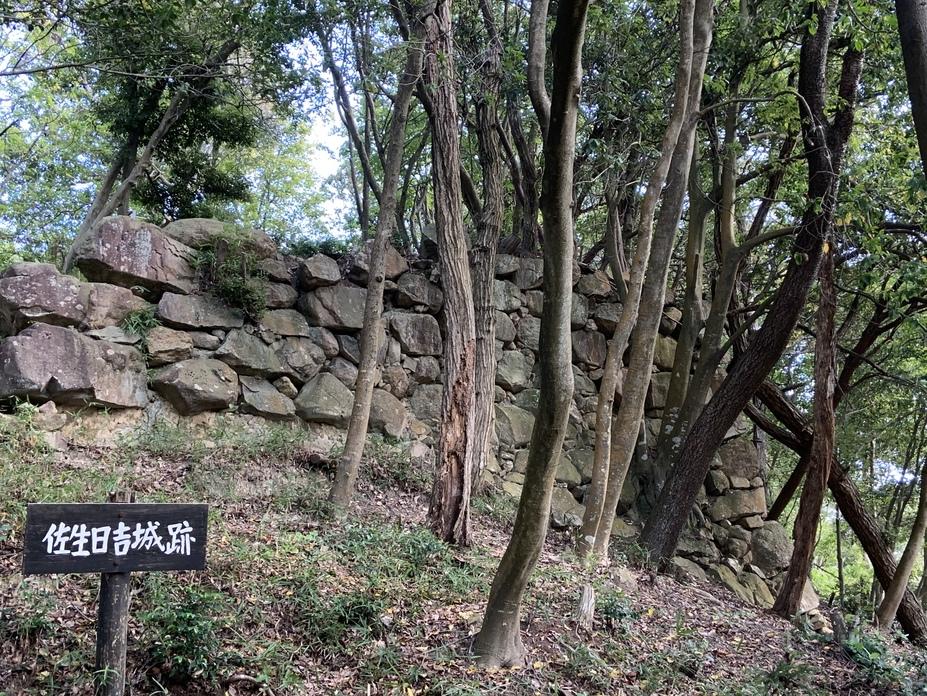 佐生日吉城