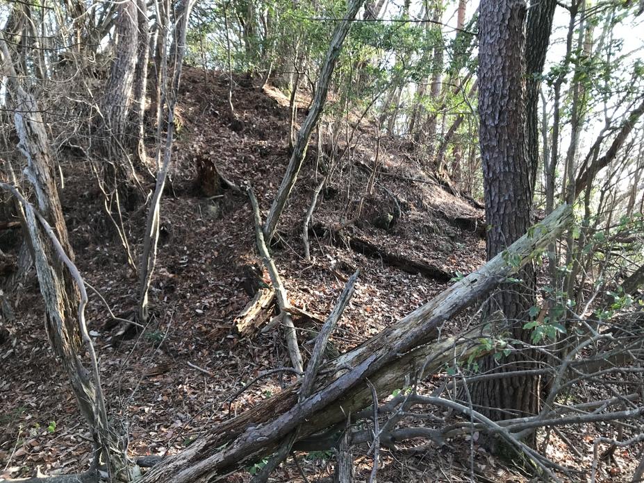 竹山城