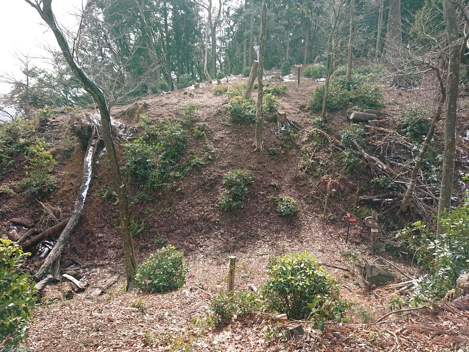 菩提山城