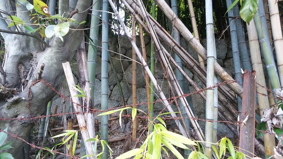 櫛羅陣屋