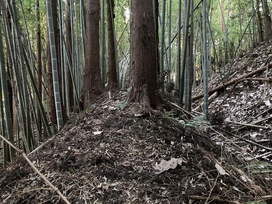 見川城