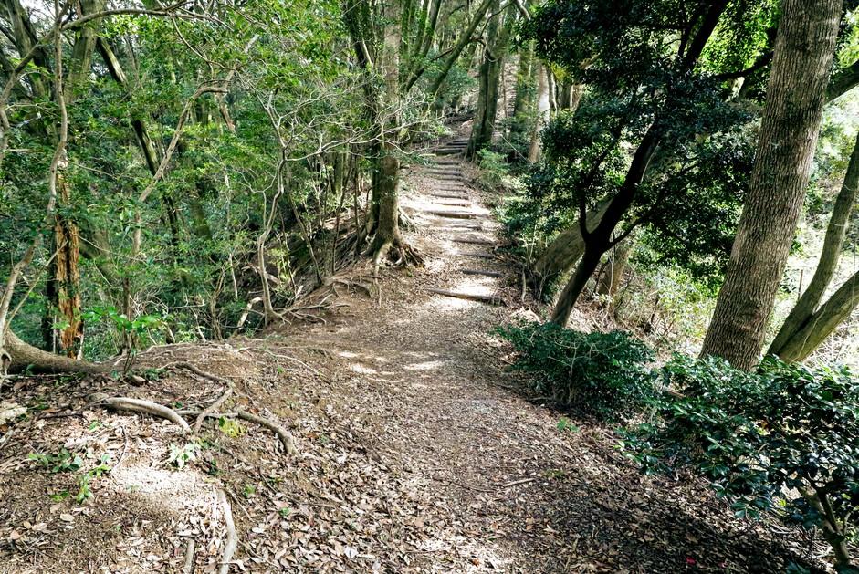 鎮西山城