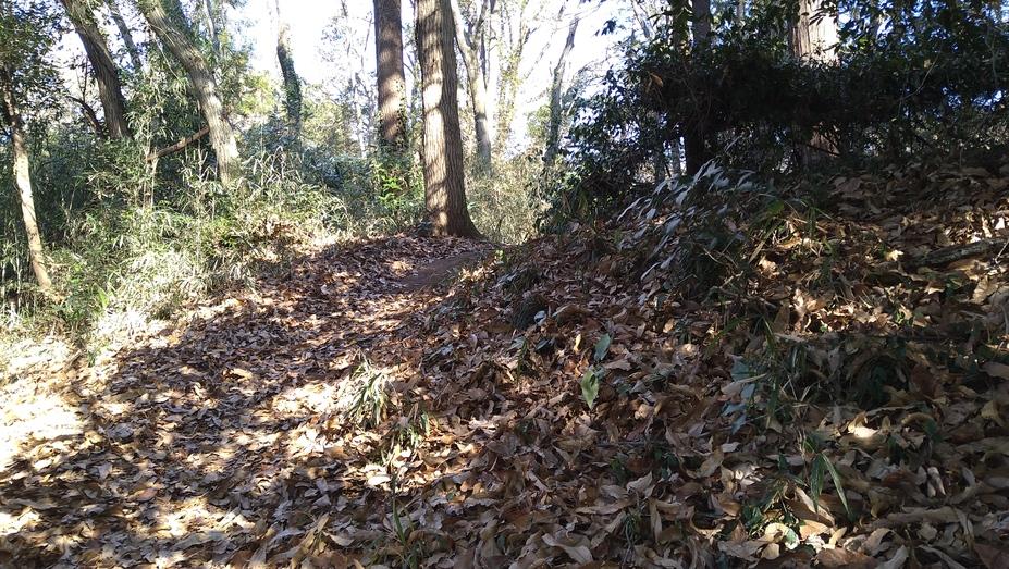 田波目城
