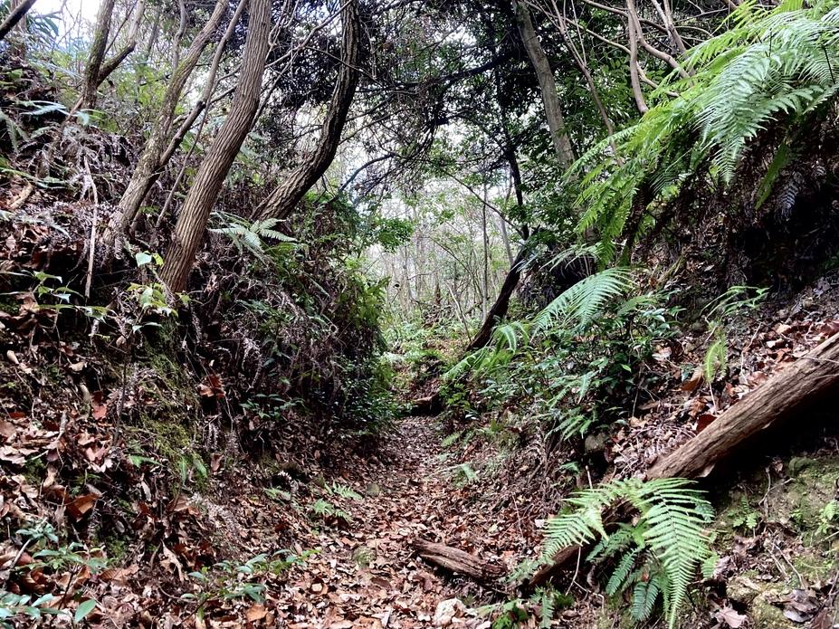 仁王山城