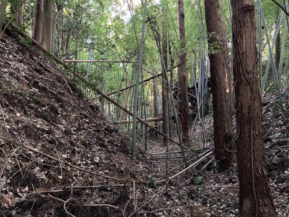 見川城