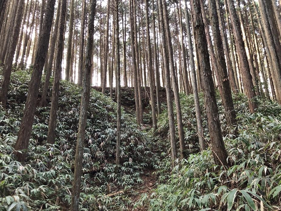 福住城