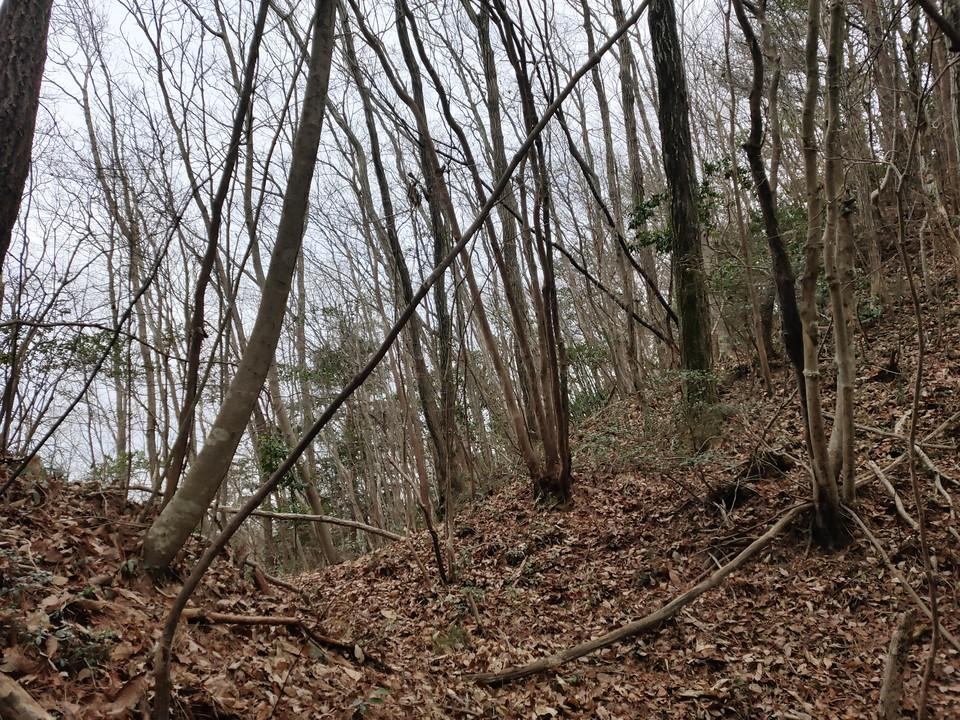 成君寺山城