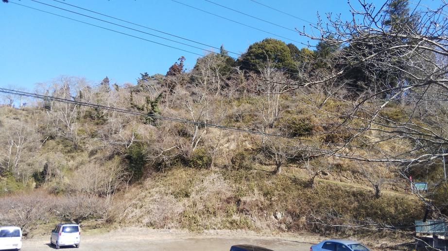 懸田城