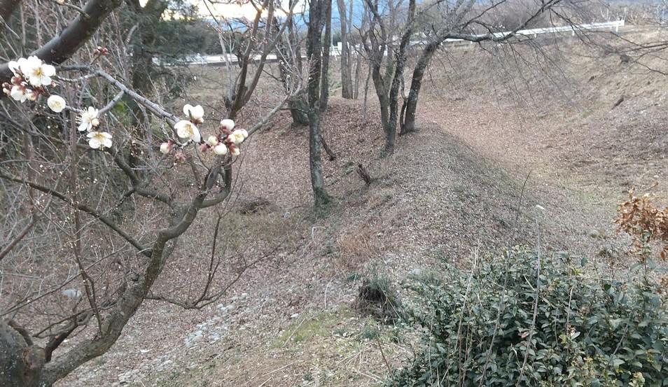 大島城