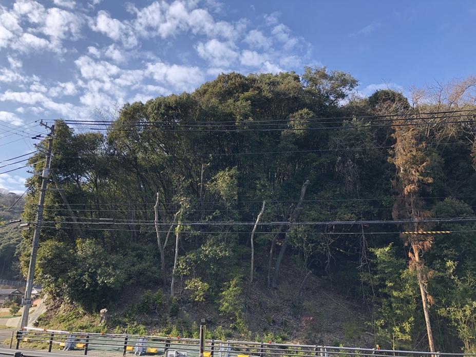 丸山城