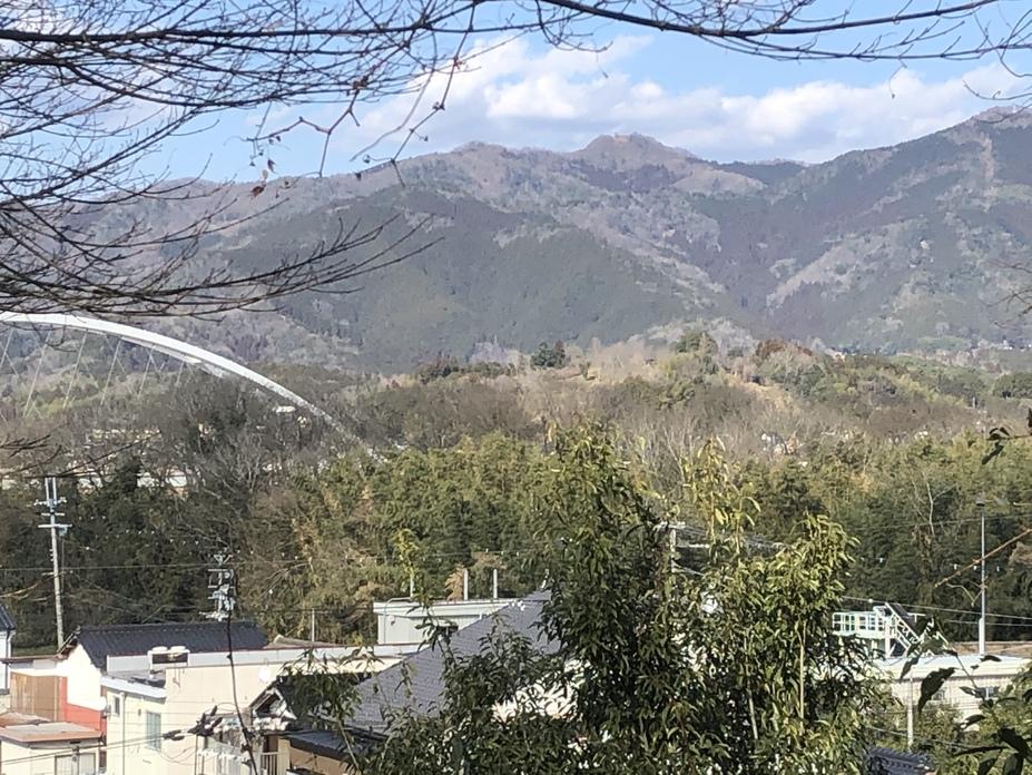 猪崎城
