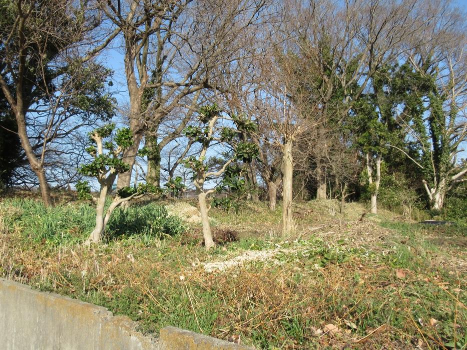 磯部城