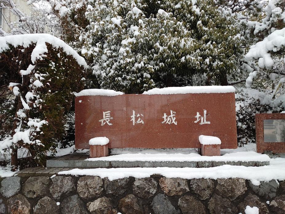 長松城