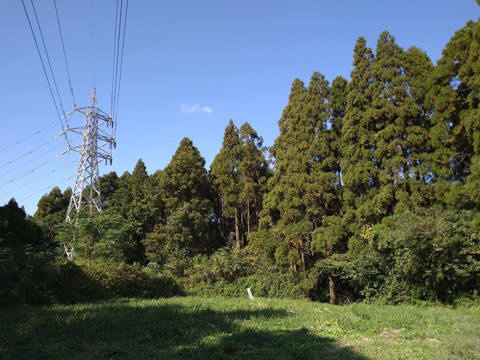 宮崎城
