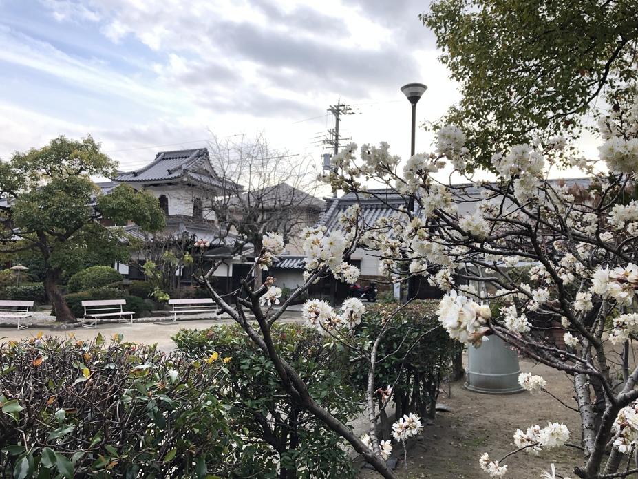真鍋城