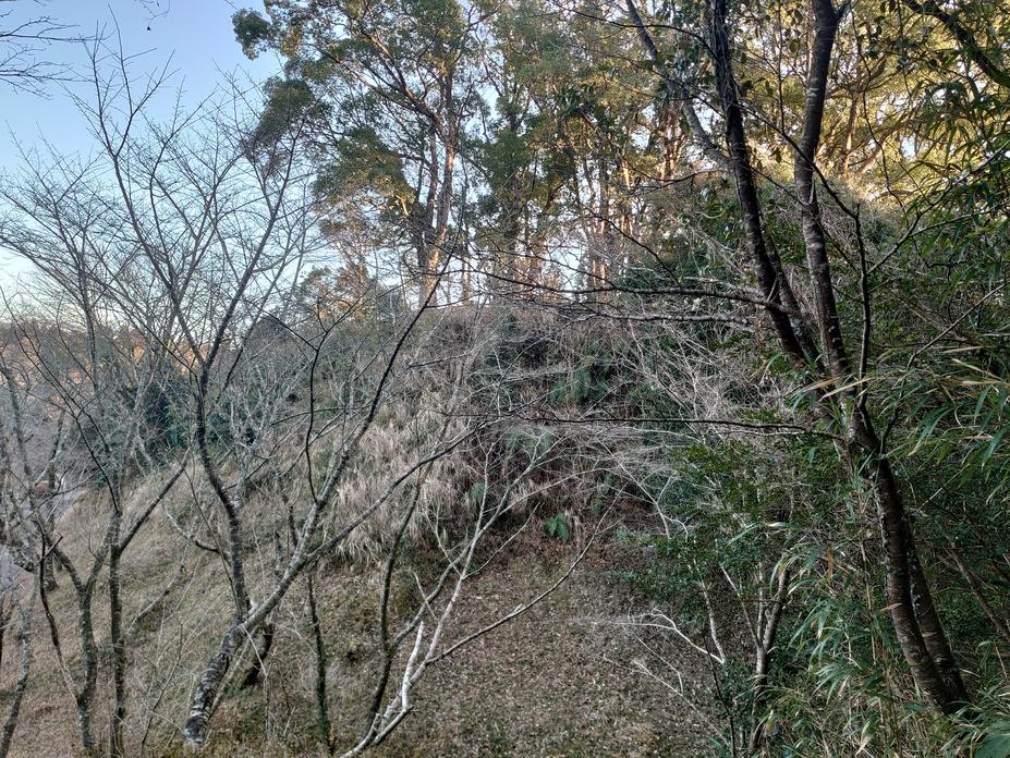 栗野城