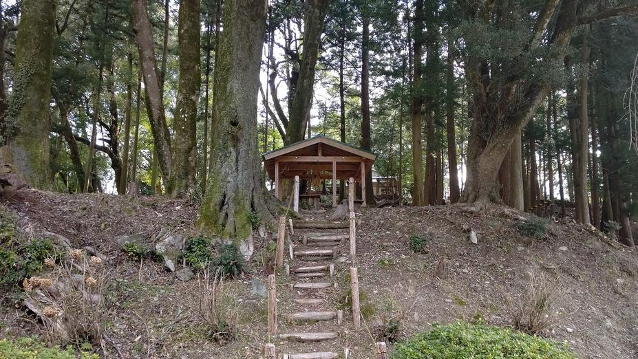 森遠城