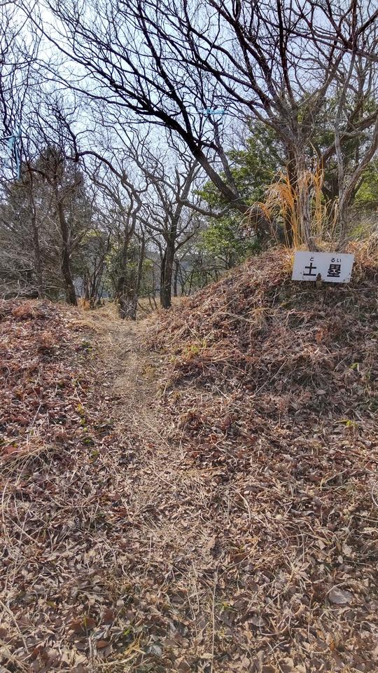 黒瀬城