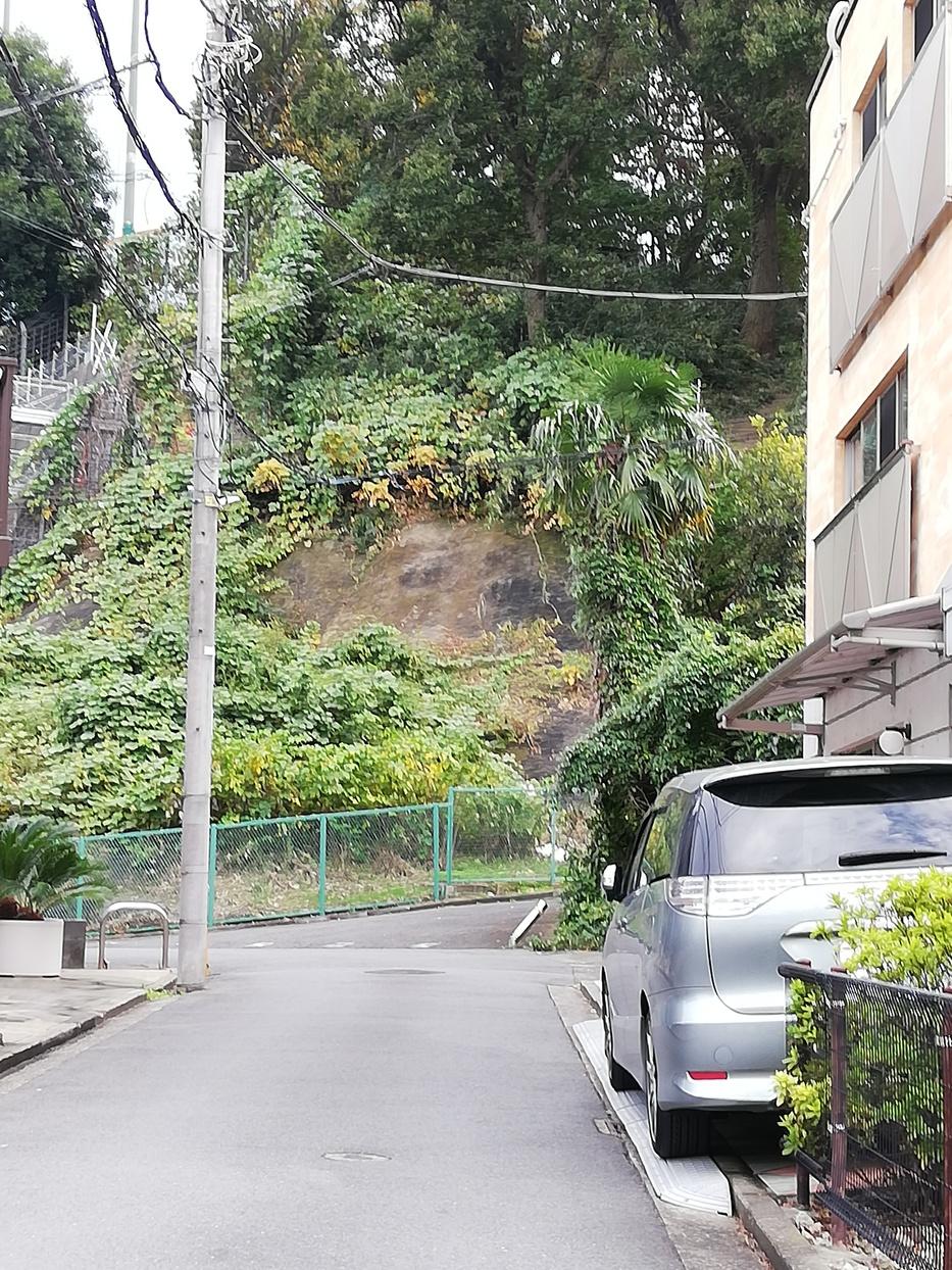 矢上城