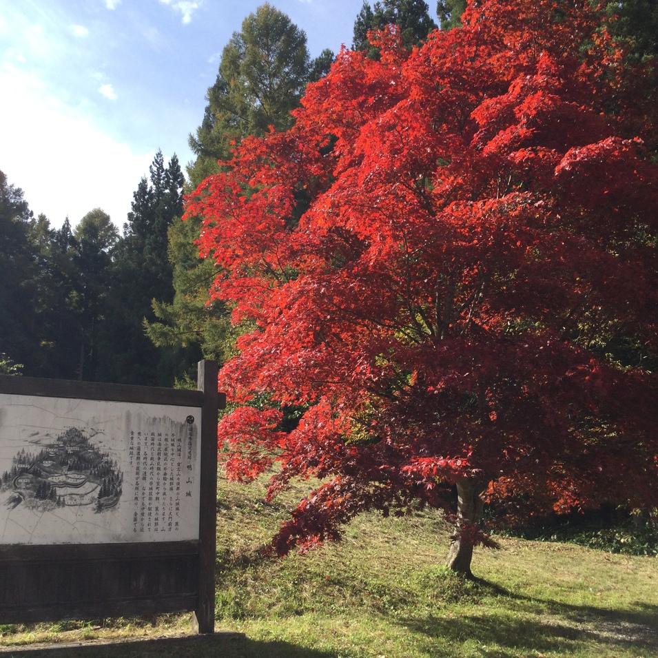 鴫山城