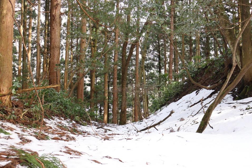 舟岡山城