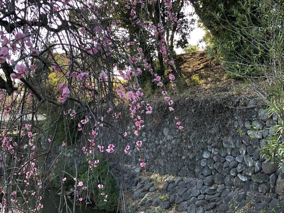 鹿島城