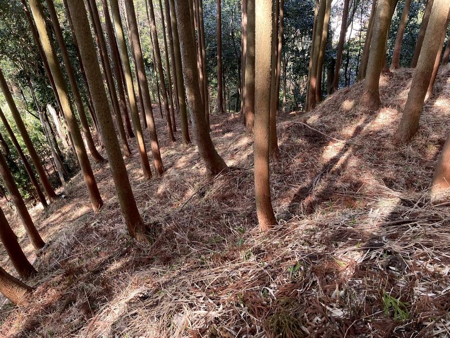 長野氏城館