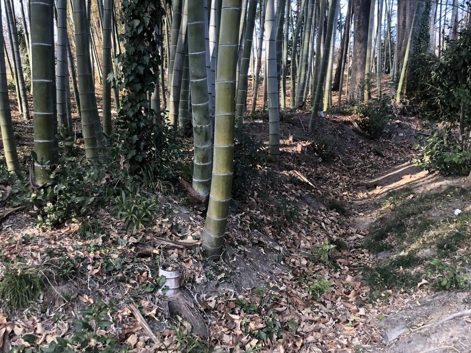 平山館