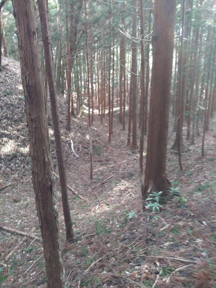 小野城