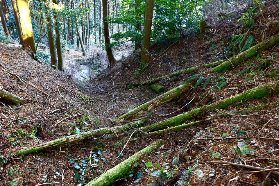 鷹取城