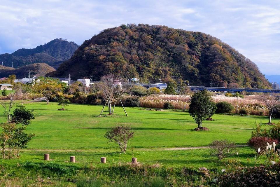 丸山城
