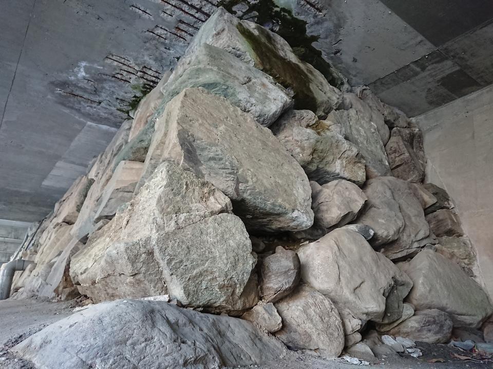 大西城