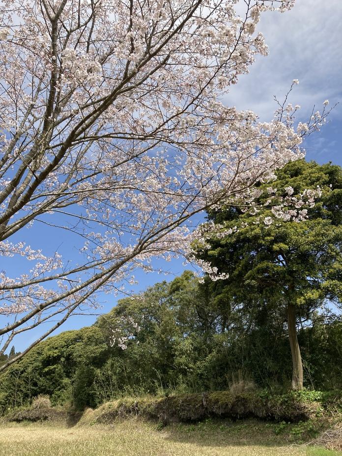 知覧城