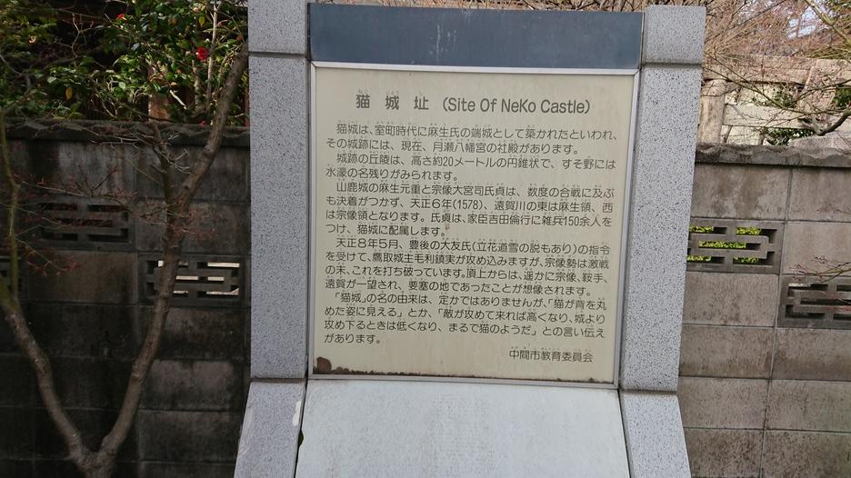 猫城