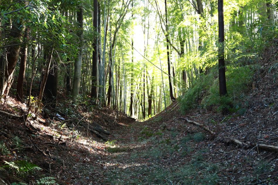 那珂西城